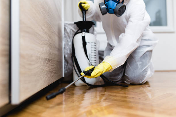 Best Pest Prevention Services  in Grant Valkaria, FL