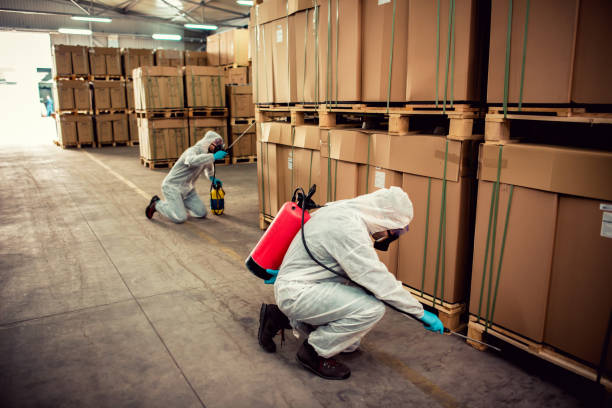 Best Mosquito Control Services  in Grant Valkaria, FL
