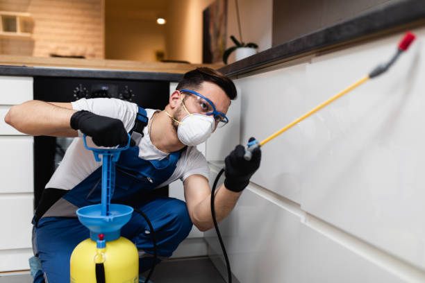 Best Ant Control Services  in Grant Valkaria, FL