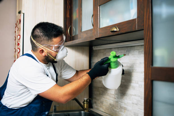 Best Bed Bug Extermination  in Grant Valkaria, FL