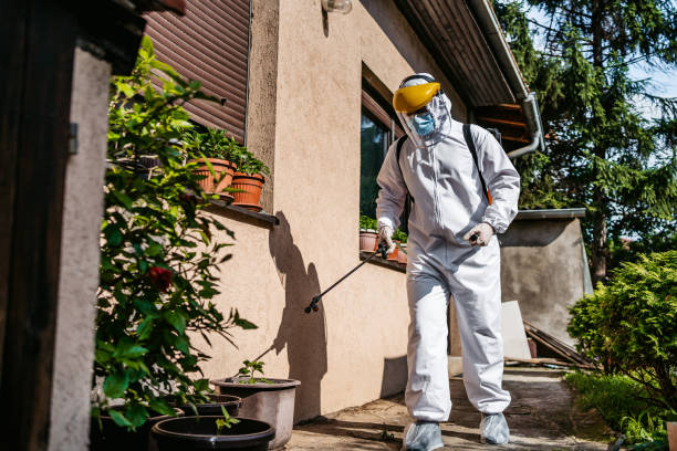 Best Best Pest Control Companies  in Grant Valkaria, FL