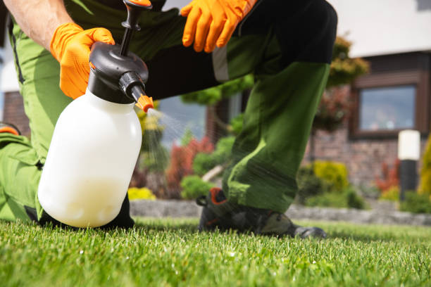 Professional Pest Control in Grant Valkaria, FL