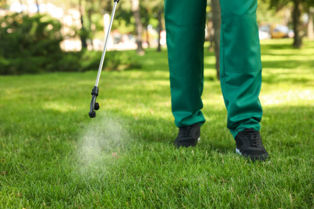 Best Bed Bug Extermination  in Grant Valkaria, FL