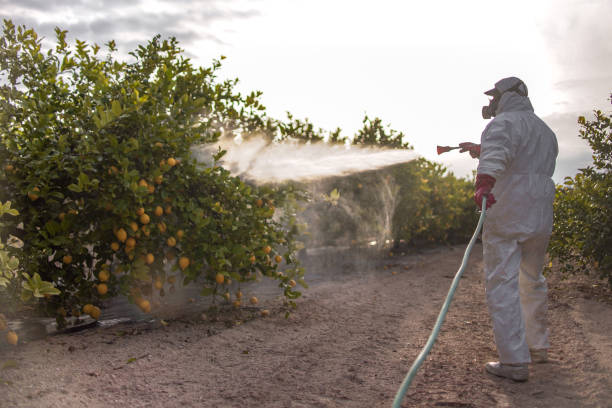 Best Pest Control Cost  in Grant Valkaria, FL