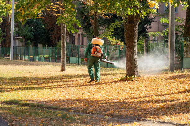Best Best Pest Control Companies  in Grant Valkaria, FL