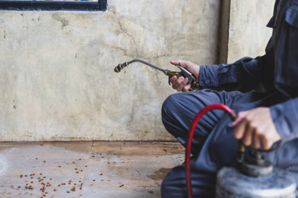 Best Pest Control Near Me  in Grant Valkaria, FL