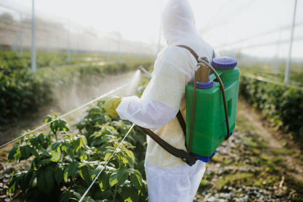 Best Pest Inspection Near Me  in Grant Valkaria, FL